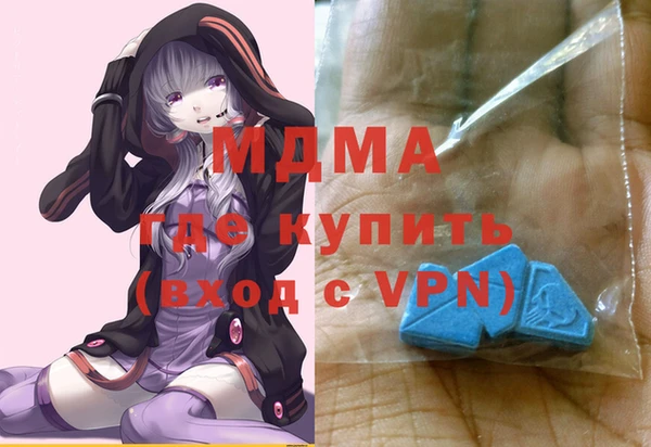 стаф Алзамай