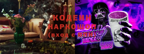 стаф Алзамай