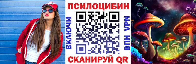 Псилоцибиновые грибы Psilocybe  даркнет официальный сайт  Монино 